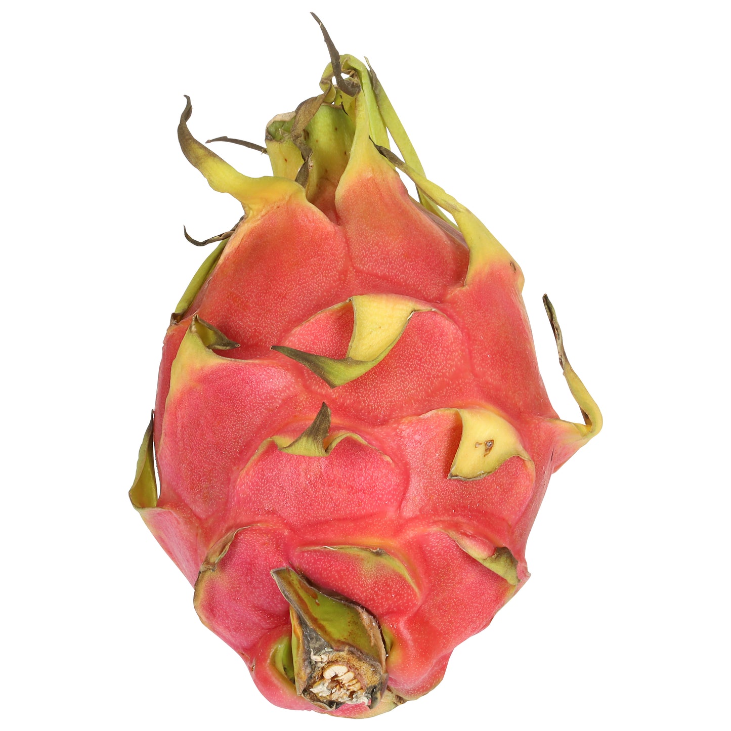 Fruta del dragón (Fruta Dragon)