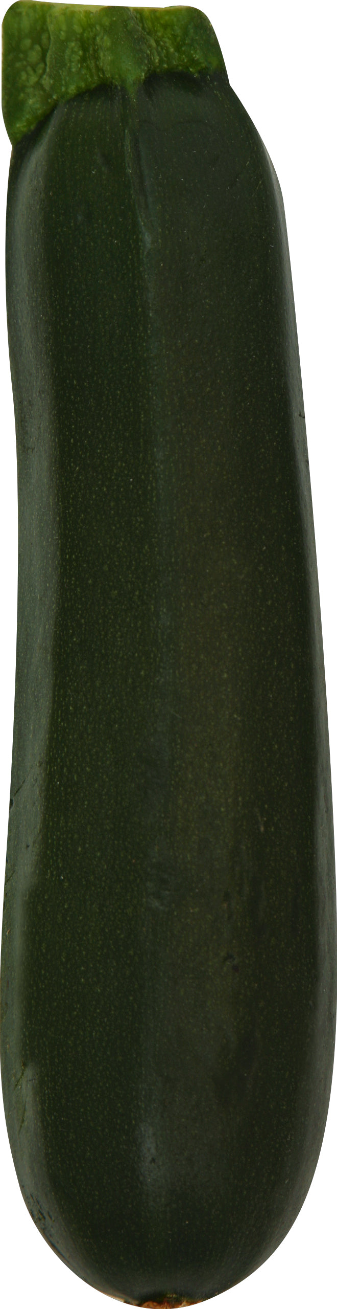 Turmeric (Curcuma)