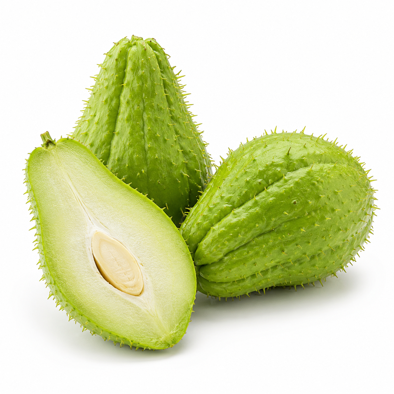 Spiny Chayote (Chayote Con Espinas)