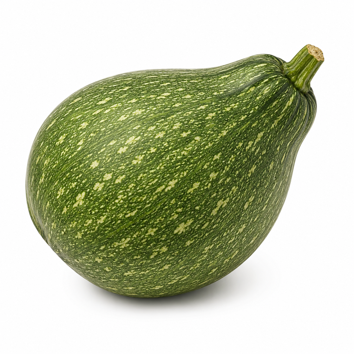 Young Chilacayote Squash (Chilacayote Tierno)