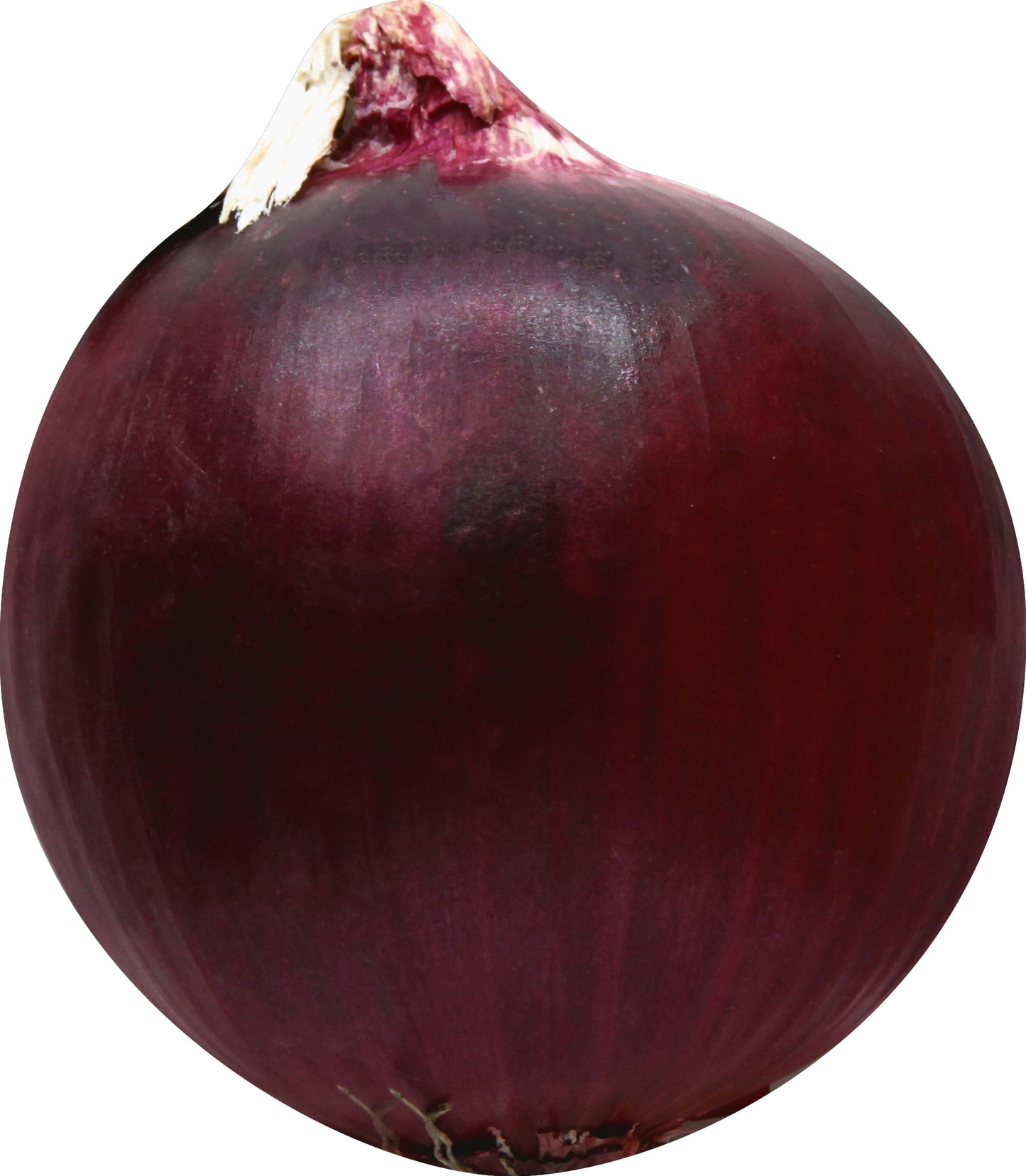 Cebolla roja (Cebolla Morada)