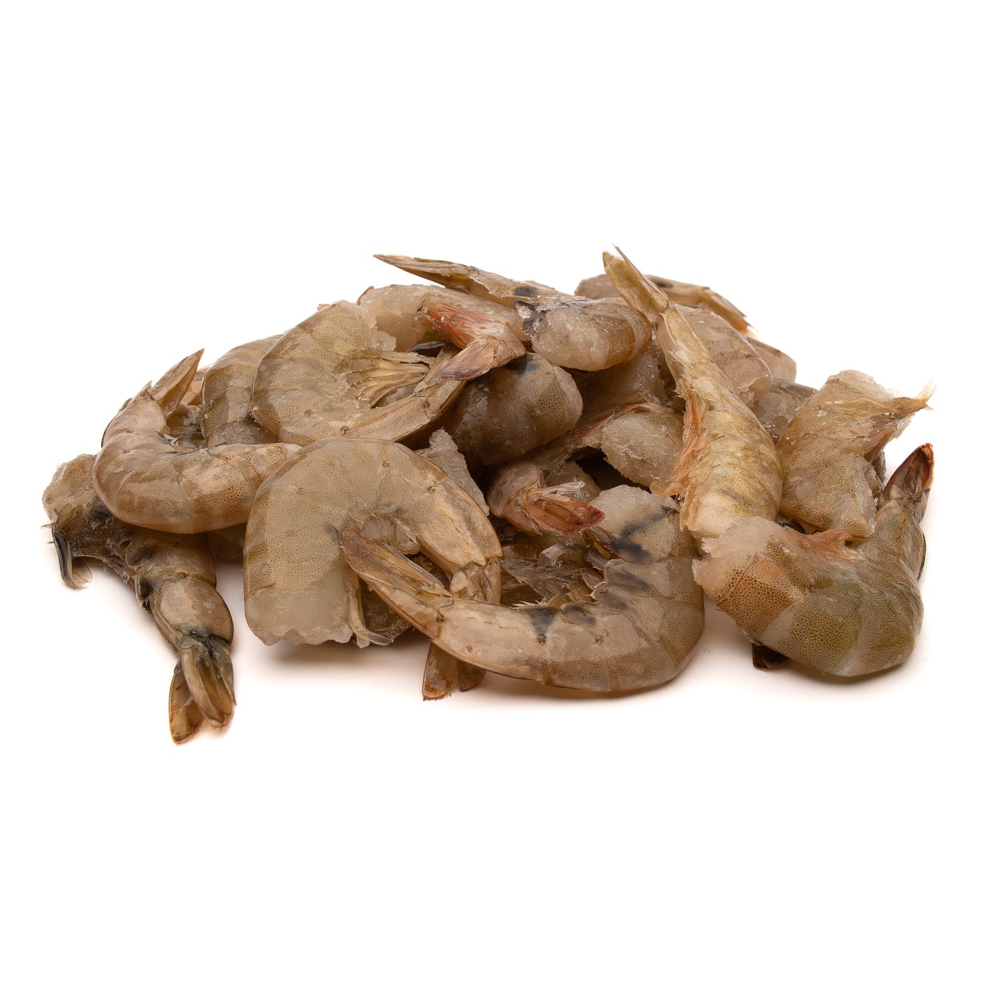 Tiger Shrimp (Camarón Tigre)