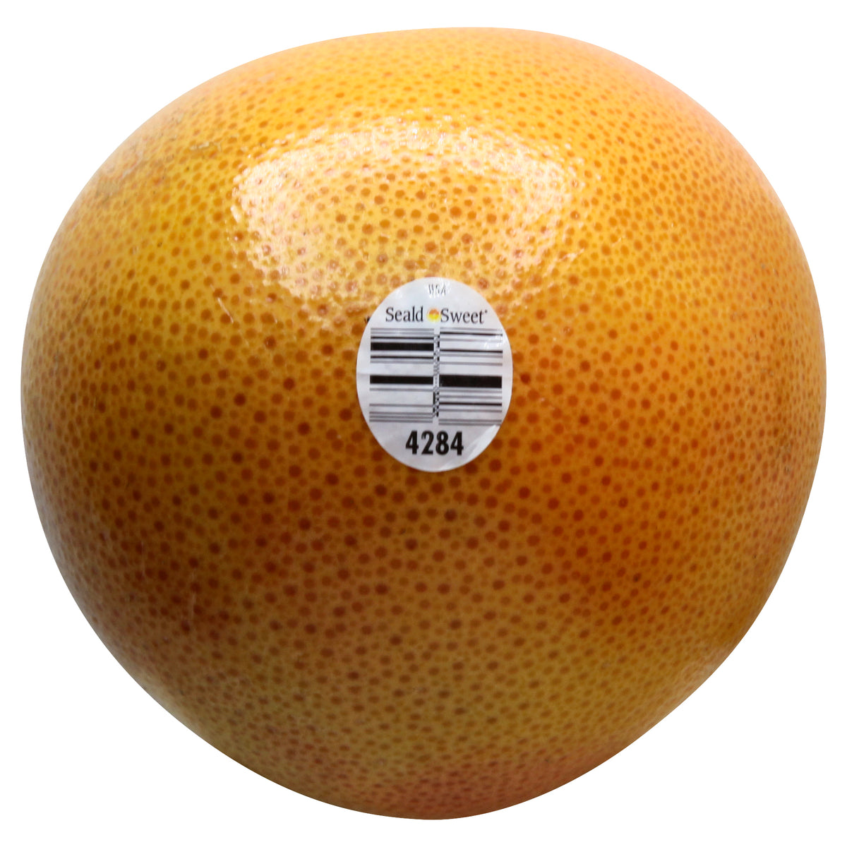 Grapefruit - Large (Toronja Grande)