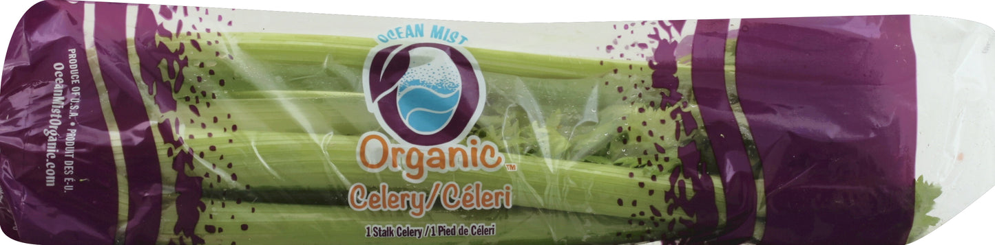 Celery (Apio)