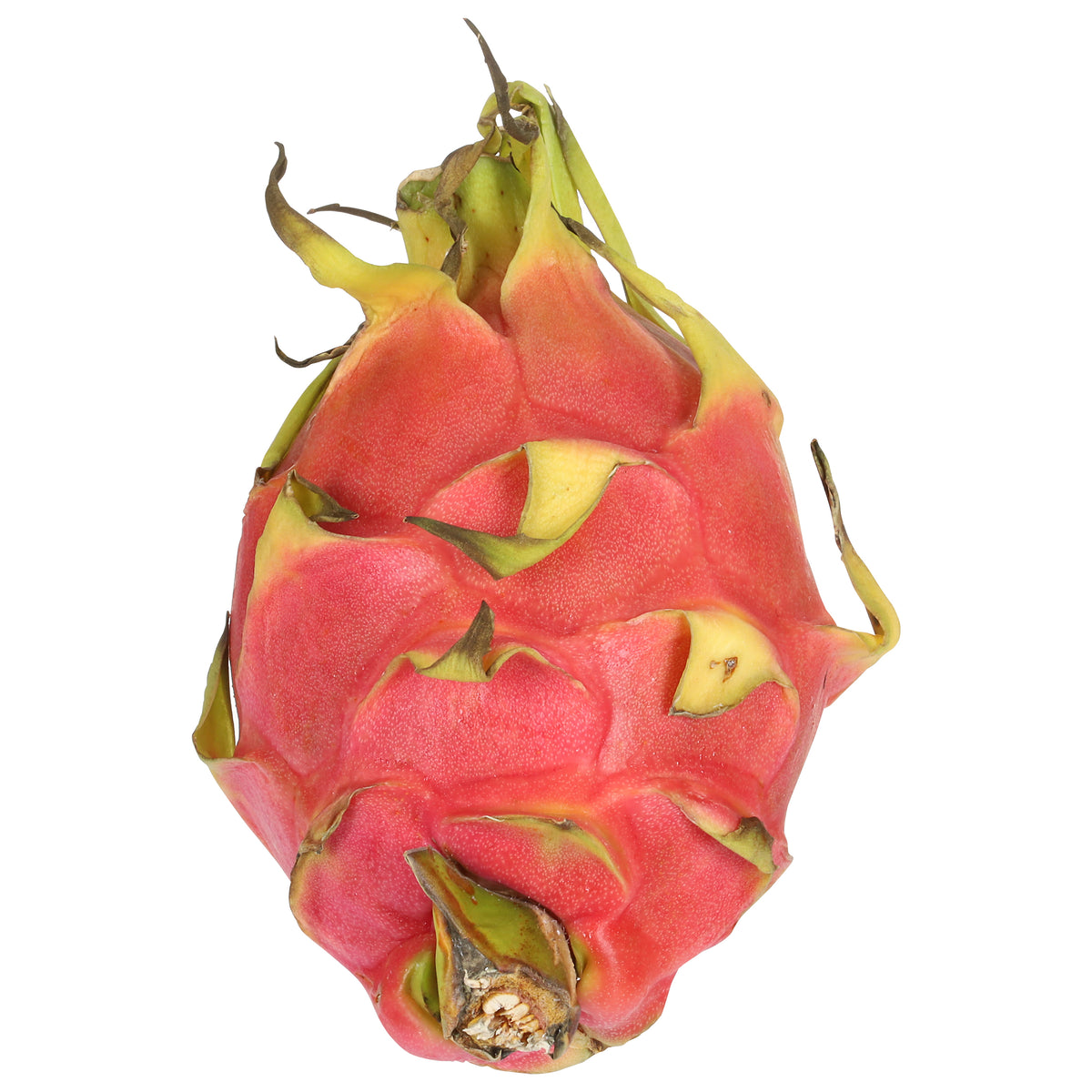 Dragon Fruit (Pitaya)