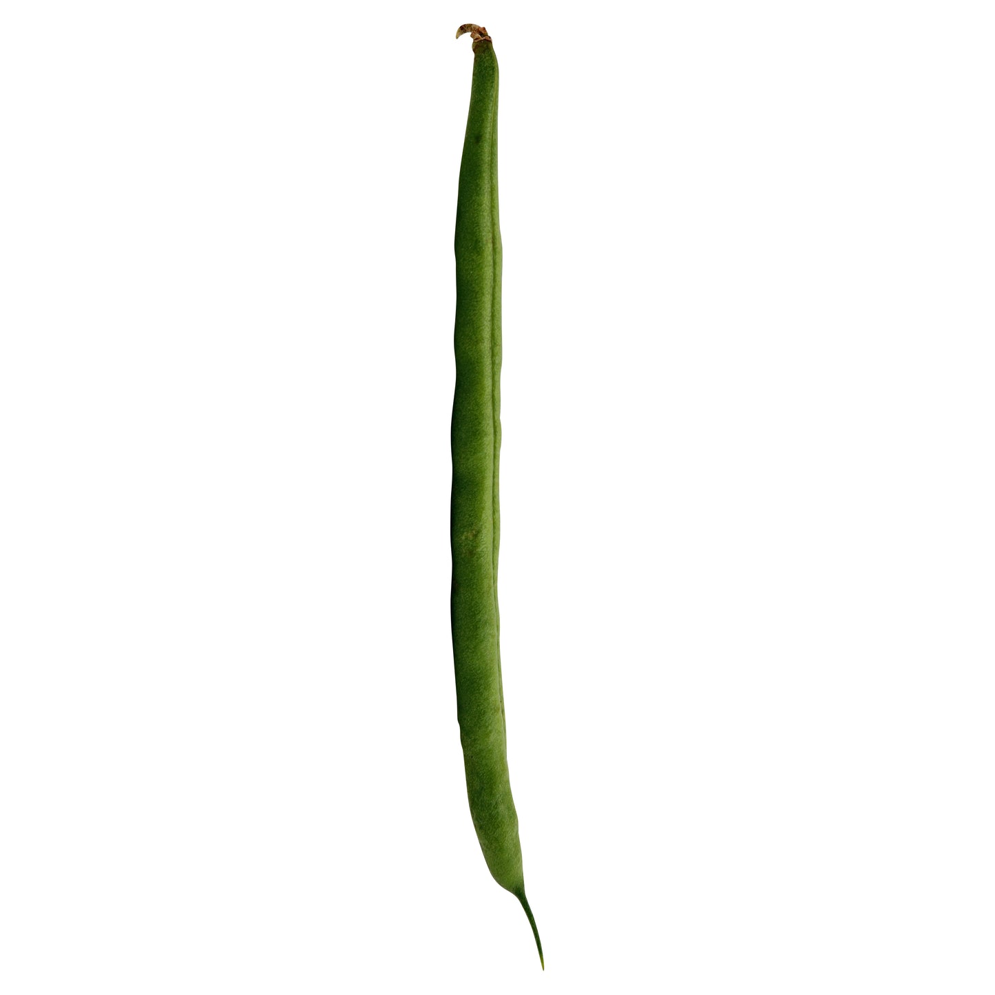 Judías verdes (ejotes)