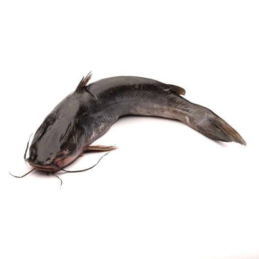 Catfish (Pescado Bagre)