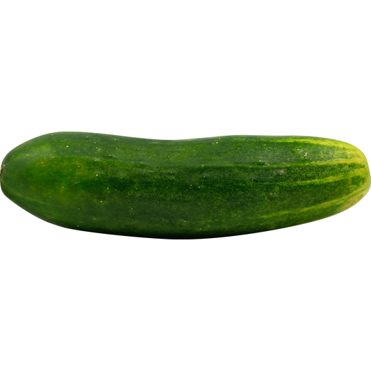 Cucumber (Pepino)