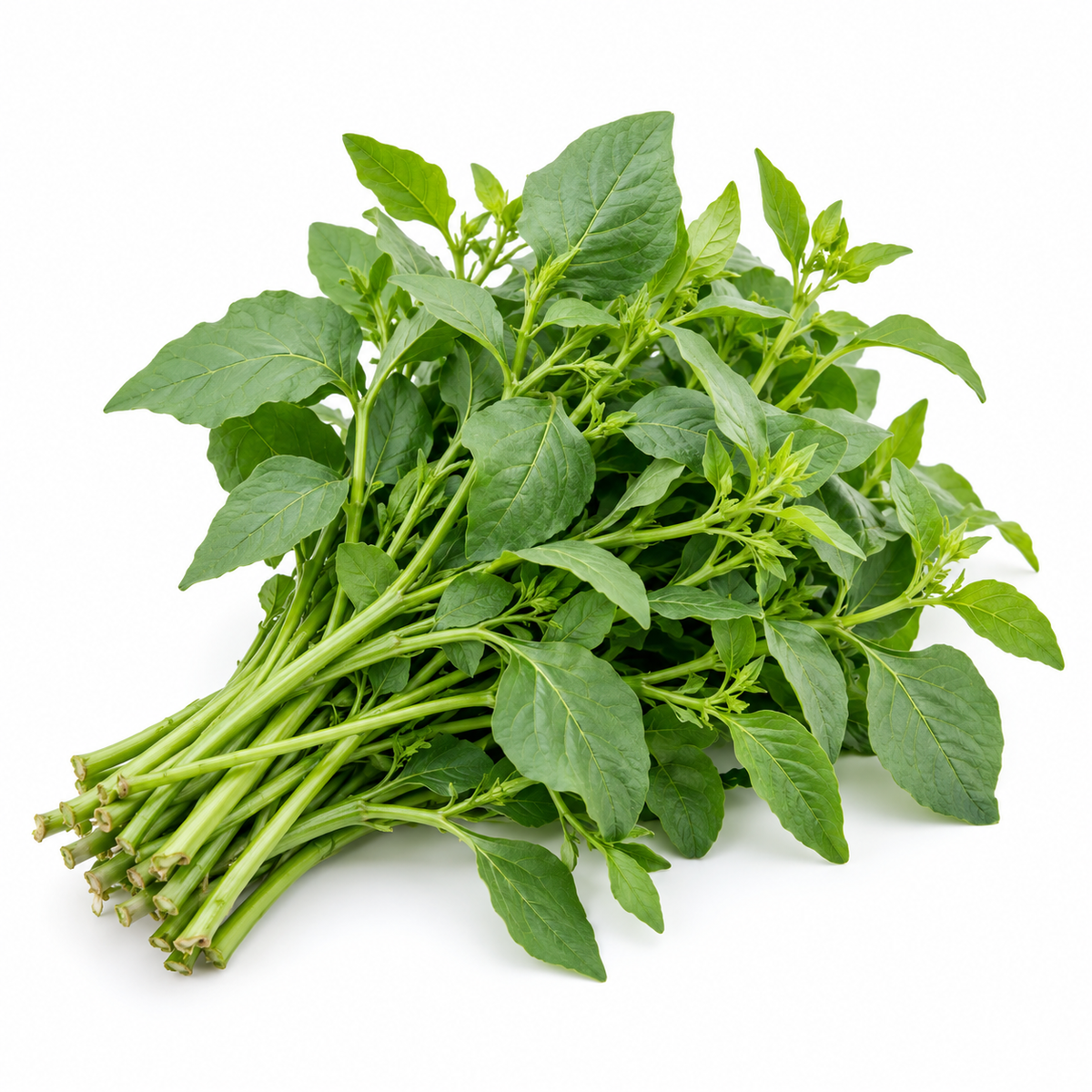 Black Nightshade Greens (Hierba Mora)