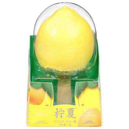 Hong Qi Summer Lemon Ice Cream 75 g