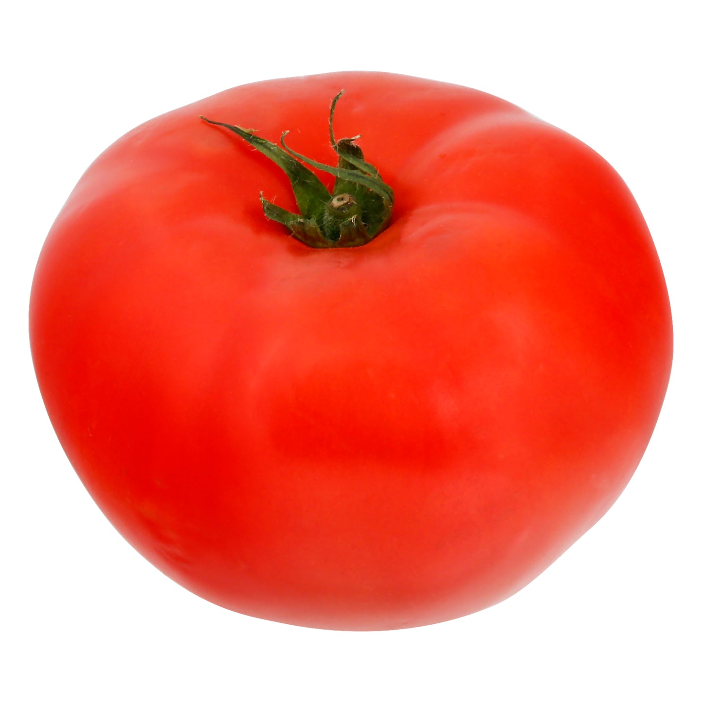 Red Tomato - Small (Jitomate)