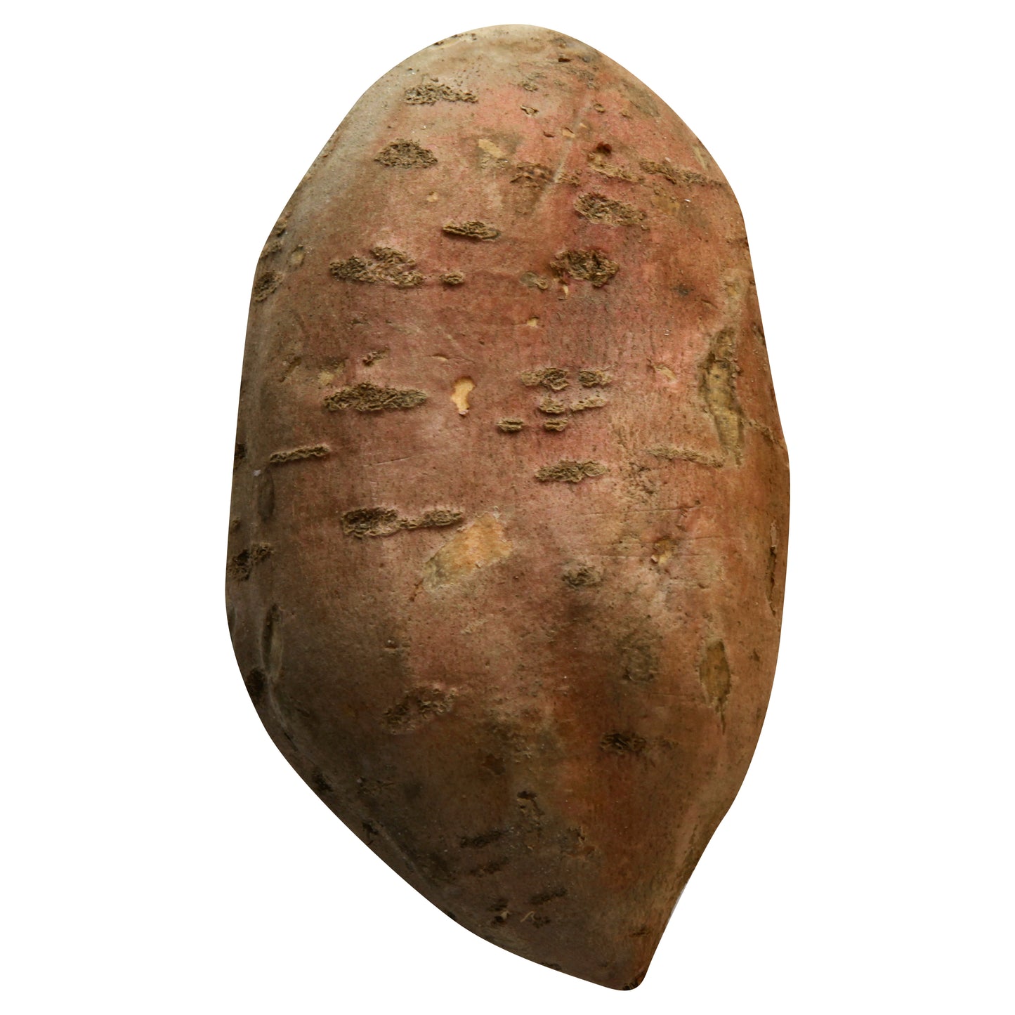 Sweet Potato (Camote)